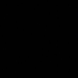 Meet your Posher, Trinity